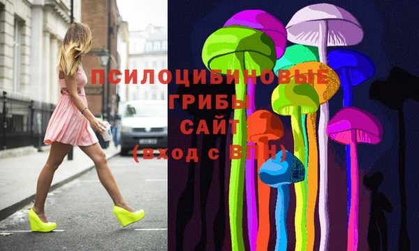эйфоретик Алзамай