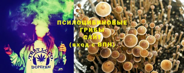бутират Абаза