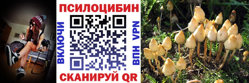 что такое   нарко площадка Telegram  Галлюциногенные грибы мухоморы  Новоаннинский 