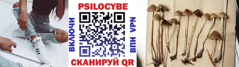 Галлюциногенные грибы Psilocybe Новоаннинский